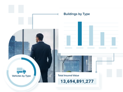 RiskPartner Screenshot 1