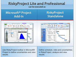 RiskyProject Professional Screenshot 1