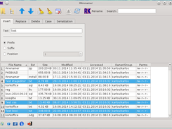 RKrenamer Screenshot 1