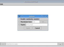 Option window from RMC swing interface