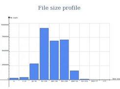 File size profile (web interface)