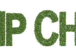 Grassy Vine XCF font