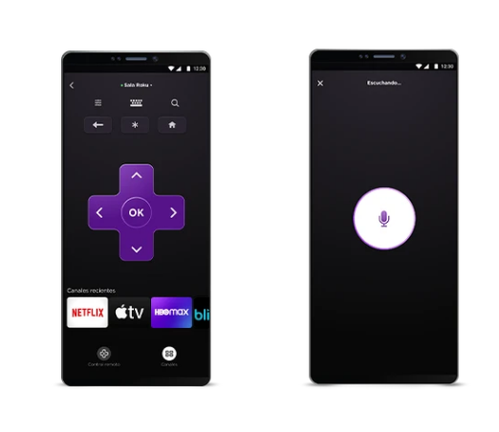 Roku OS Streaming Platform