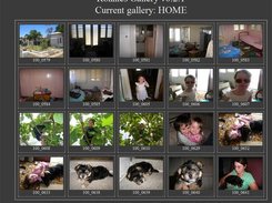 While browsing a gallery