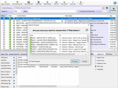 Rons Renamer - Before Renaming