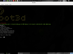 Wireless Pentesting Options