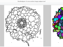 Detecting cells using RootAnalyzer