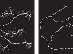 RootGraph