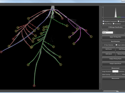 Creation of root architectures