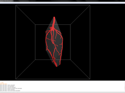 RooTrak - Convex Hull