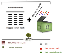 ROP overview 