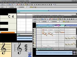 Flexible pan and zoom in notation and matrix editors