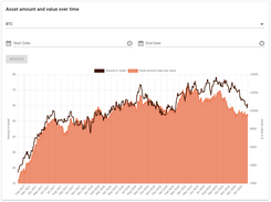 Rotki: Graph for asset amount and net value over time
