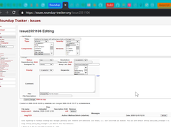 Editing issue in Roundup showing custom fields and keywords.