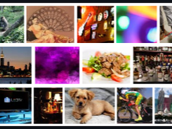 rowGrid.js Screenshot 1