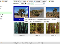 Thumbnails view