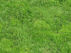 This is one of the textures for the game