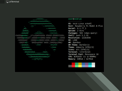 Sits comfortably under 100M of RAM usage, perfect for the old Pis with only 256M of RAM.