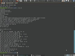 GI-OS sysh in action, doing some interpreter commands