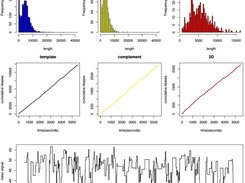 R_poRe Screenshot 1