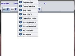 RS Text Editor Screenshot 2