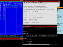 TWM screenshot 2.