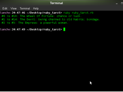 The command line results