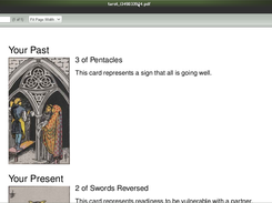 Screenshot of PDF. As you can see, card interpretation is minimal.