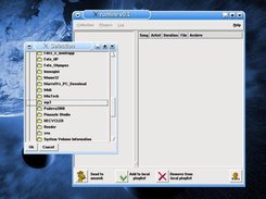 directory selection to build collection's info