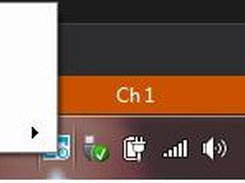 Check in status options