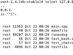 remote bash server