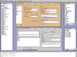 RuneII GUI showing category and topology editing windows