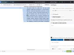 RunVSAgent Screenshot 1