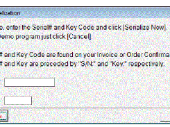 1099-Etc-ProgramSerialization