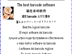 2P Barcode Creator-MultiLanguage