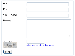 SimpleContactForm default form