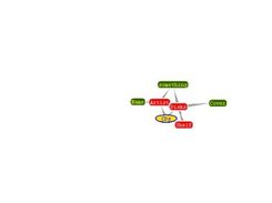 Rule map for a project within S3DB