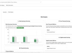 Risk Analysis and Business  Scoring 