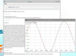 A sample SACIC session