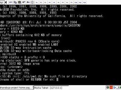 get console by "telnet localhost 2345"
