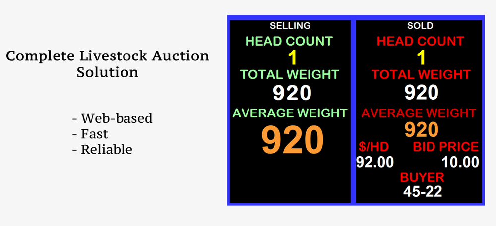Sale Time Systems Screenshot 1