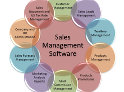 Sales Management Database Screenshot 1