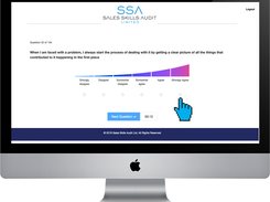 Sales Skills Audit Screenshot 2