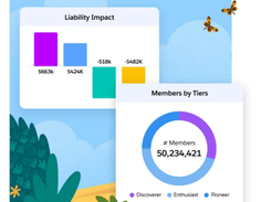 Salesforce Loyalty Management Screenshot 2