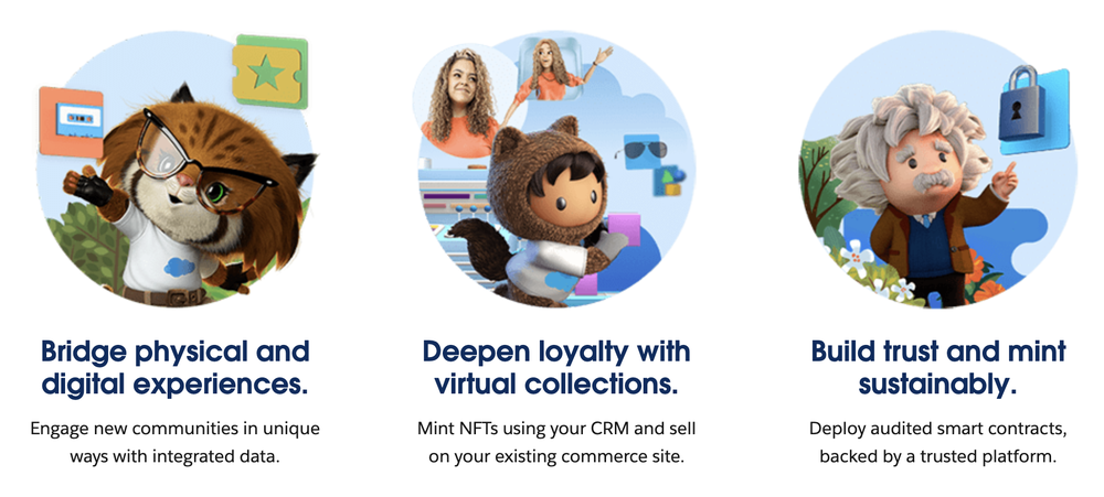 Salesforce NFT Cloud Screenshot 1