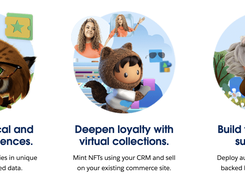 Salesforce NFT Cloud Screenshot 1