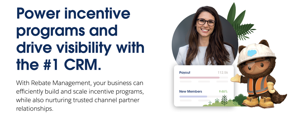 Salesforce Rebate Management Screenshot 1