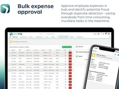 Bulk expense approval