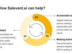 Working of salevant AI