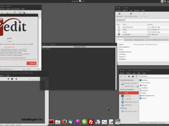 SalixBang Screenshot 2